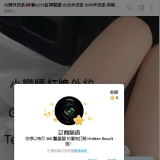 🚨 【緊急防詐警報】請認明仿冒 TG 機器人，切勿點擊訂閱！ 🚨